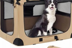 Best Collapsible Dog Crates for Car Travel | My Caring Dog – Tips, Stories, and Care Guides for Loving Pet Owners