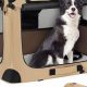 Best Collapsible Dog Crates for Car Travel | My Caring Dog – Tips, Stories, and Care Guides for Loving Pet Owners