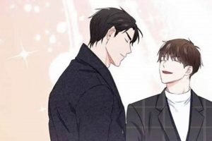 Building Our Companionship: Car & Dog | My Caring Dog – Tips, Stories, and Care Guides for Loving Pet Owners