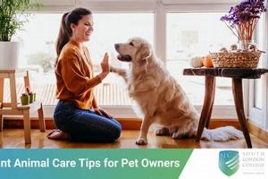 Ultimate Guide: Dog Care 101 | My Caring Dog – Tips, Stories, and Care Guides for Loving Pet Owners