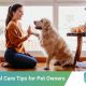 Ultimate Guide: Dog Care 101 | My Caring Dog – Tips, Stories, and Care Guides for Loving Pet Owners
