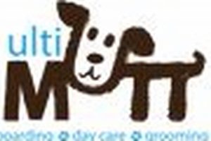 Best Ultimutt Dog Care in Fort Smith AR My Caring Dog – Tips, Stories, and Care Guides for Loving Pet Owners Best Ultimutt Dog Care in Fort Smith AR | My Caring Dog – Tips, Stories, and Care Guides for Loving Pet Owners