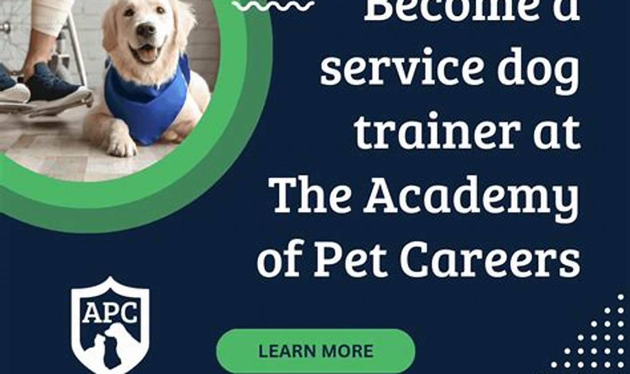 Service Dog Trainer Career | My Caring Dog – Tips, Stories, and Care Guides for Loving Pet Owners