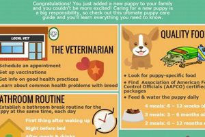 Essential Puppy Pet Care Tips & Guide | My Caring Dog – Tips, Stories, and Care Guides for Loving Pet Owners