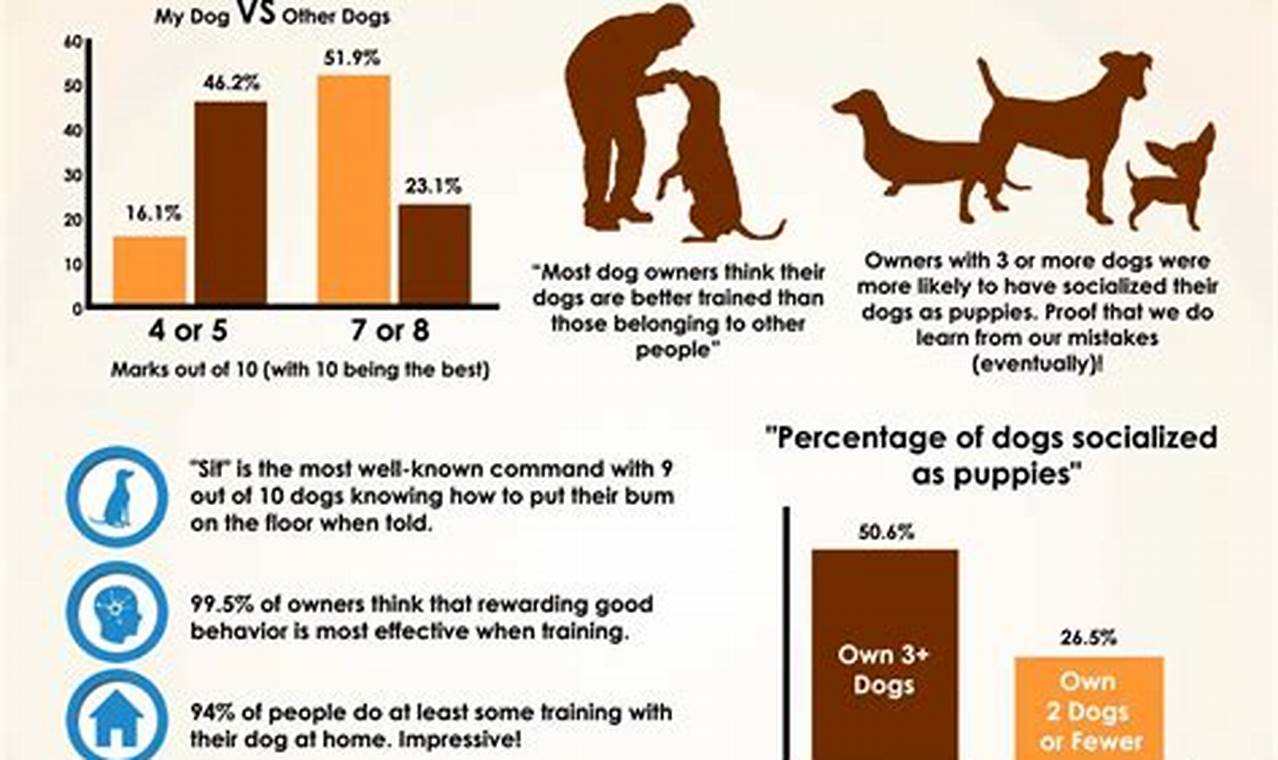 Top Dog Care & Training Facts Revealed! | My Caring Dog – Tips, Stories, and Care Guides for Loving Pet Owners