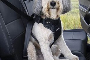 Top Crash Tested Dog Car Seat Belts for Safe Travels | My Caring Dog – Tips, Stories, and Care Guides for Loving Pet Owners