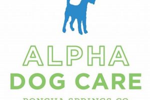 The Myth of Alpha Dog Care: Modern Dog Training | My Caring Dog – Tips, Stories, and Care Guides for Loving Pet Owners