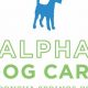 The Myth of Alpha Dog Care: Modern Dog Training | My Caring Dog – Tips, Stories, and Care Guides for Loving Pet Owners