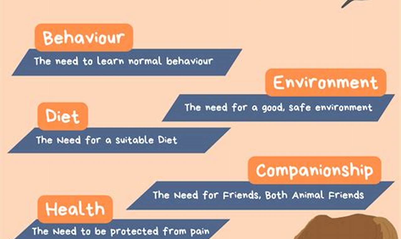 Essential Car Dog Needs: Travel Guide | My Caring Dog – Tips, Stories, and Care Guides for Loving Pet Owners