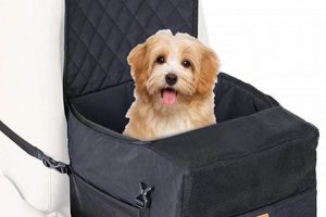 Best Cozy Dog Car Seats for Safe Travels | My Caring Dog – Tips, Stories, and Care Guides for Loving Pet Owners