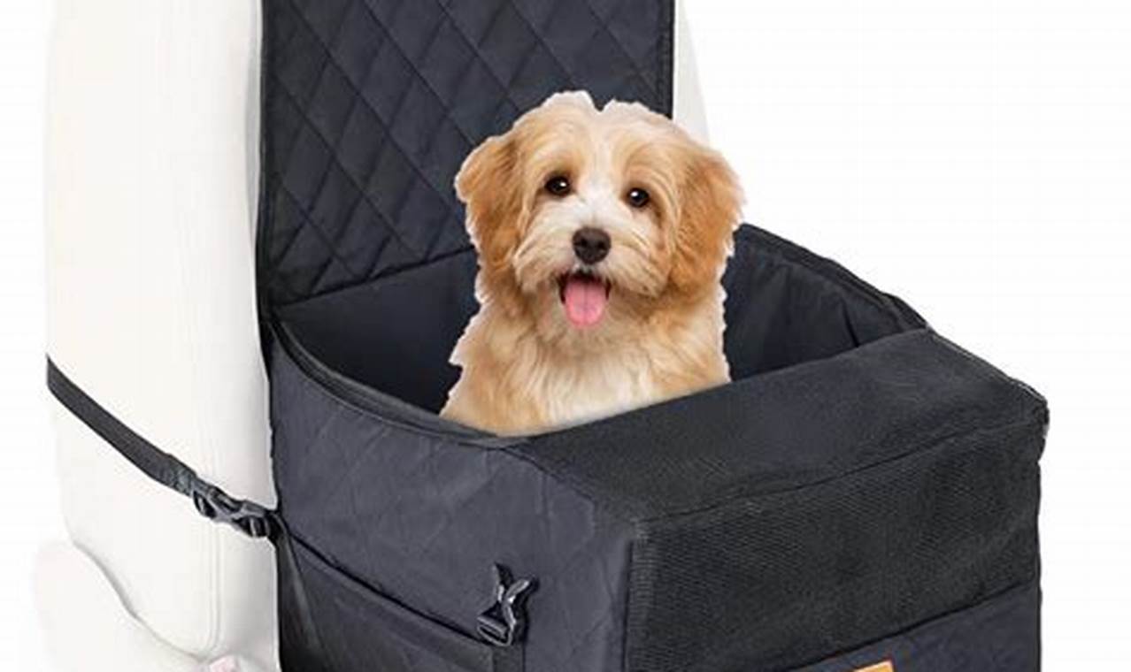 Best Cozy Dog Car Seats for Safe Travels | My Caring Dog – Tips, Stories, and Care Guides for Loving Pet Owners