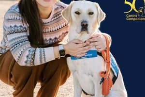 Best Canine Companions for Independence | Santa Rosa, CA | My Caring Dog – Tips, Stories, and Care Guides for Loving Pet Owners