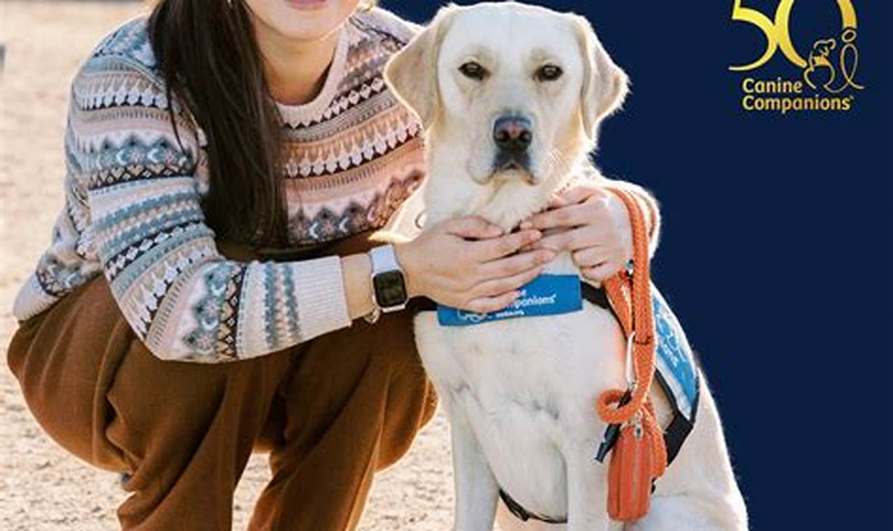 Best Canine Companions for Independence | Santa Rosa, CA | My Caring Dog – Tips, Stories, and Care Guides for Loving Pet Owners