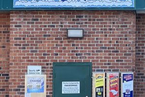 Best Fast Track Car Wash & Dog Wash Near You | My Caring Dog – Tips, Stories, and Care Guides for Loving Pet Owners