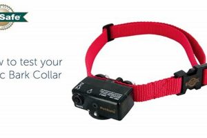 Dog Shock Collar Manual: Safe & Effective Training Guide | My Caring Dog – Tips, Stories, and Care Guides for Loving Pet Owners