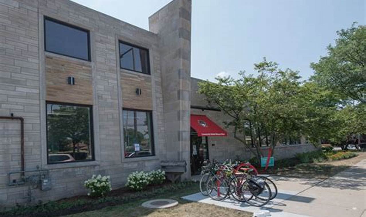 Best Animal Shelter & Rescue in Skokie, IL | My Caring Dog – Tips, Stories, and Care Guides for Loving Pet Owners