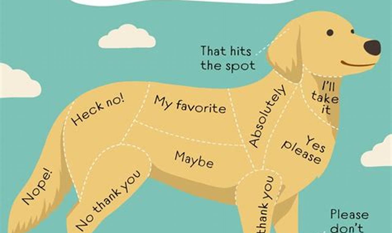 Car Dog Activities: What To Do With Dogs On The Go | My Caring Dog – Tips, Stories, and Care Guides for Loving Pet Owners