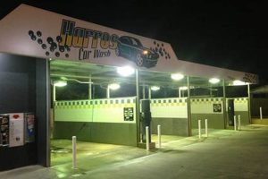 Harro's Car And Dog Wash | My Caring Dog – Tips, Stories, and Care Guides for Loving Pet Owners