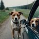 Safe Car Dog Walking Tips & Guidelines | My Caring Dog – Tips, Stories, and Care Guides for Loving Pet Owners