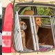 Dog Crate Car Safety | My Caring Dog – Tips, Stories, and Care Guides for Loving Pet Owners