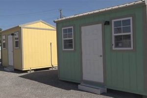 Find Safe Shelters in St. Louis Now | My Caring Dog – Tips, Stories, and Care Guides for Loving Pet Owners