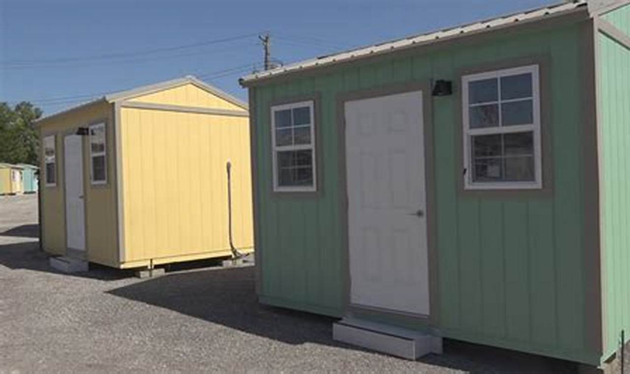 Find Safe Shelters in St. Louis Now | My Caring Dog – Tips, Stories, and Care Guides for Loving Pet Owners