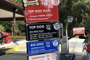 The Ultimate Top Dog Car Wash Club Guide | My Caring Dog – Tips, Stories, and Care Guides for Loving Pet Owners