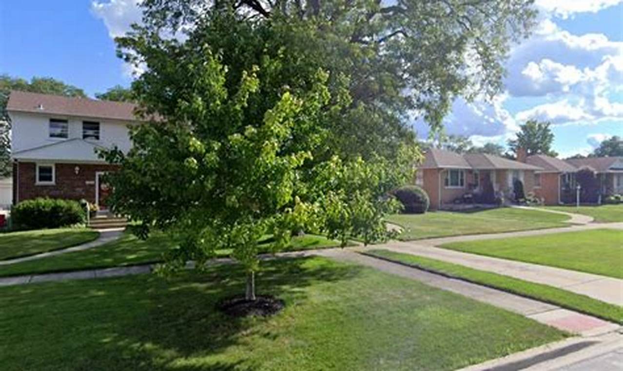 Best Cook County Animal Rescue & Adoption | My Caring Dog – Tips, Stories, and Care Guides for Loving Pet Owners