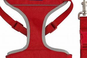 Best Ancol Dog Car Harnesses for Safe Travel | My Caring Dog – Tips, Stories, and Care Guides for Loving Pet Owners