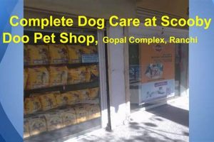 Best Dog Care in Ranchi: Tips &amp; Advice | My Caring Dog – Tips, Stories, and Care Guides for Loving Pet Owners