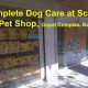 Best Dog Care in Ranchi: Tips &amp; Advice | My Caring Dog – Tips, Stories, and Care Guides for Loving Pet Owners