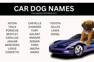 Top Car-Inspired Dog Names: Best & Unique | My Caring Dog – Tips, Stories, and Care Guides for Loving Pet Owners