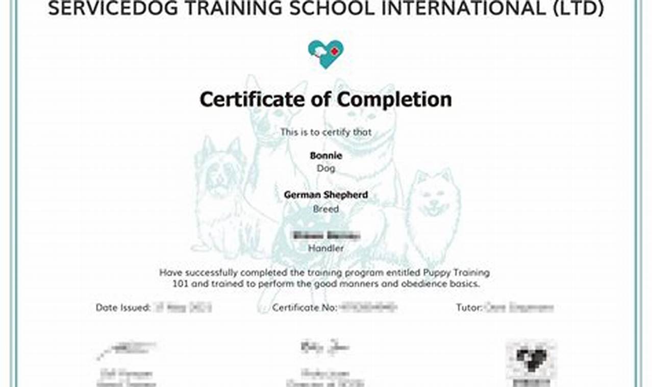 Best Online Service Dog Training Certification Programs | My Caring Dog – Tips, Stories, and Care Guides for Loving Pet Owners