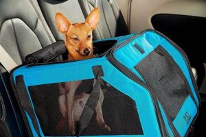 Best Dog Carrier Car | My Caring Dog – Tips, Stories, and Care Guides for Loving Pet Owners