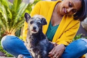 Adopt a Car Dog: East St. Louis Animal Shelter | My Caring Dog – Tips, Stories, and Care Guides for Loving Pet Owners