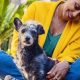 Adopt a Car Dog: East St. Louis Animal Shelter | My Caring Dog – Tips, Stories, and Care Guides for Loving Pet Owners
