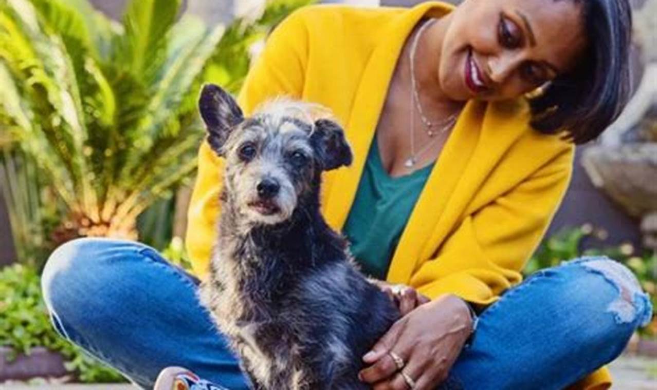 Adopt a Car Dog: East St. Louis Animal Shelter | My Caring Dog – Tips, Stories, and Care Guides for Loving Pet Owners