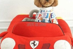 Best Race Car Dog Beds: Cozy & Fast | My Caring Dog – Tips, Stories, and Care Guides for Loving Pet Owners