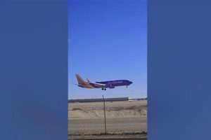 Southwest 2275 Flight: Pet Travel Guide | My Caring Dog – Tips, Stories, and Care Guides for Loving Pet Owners