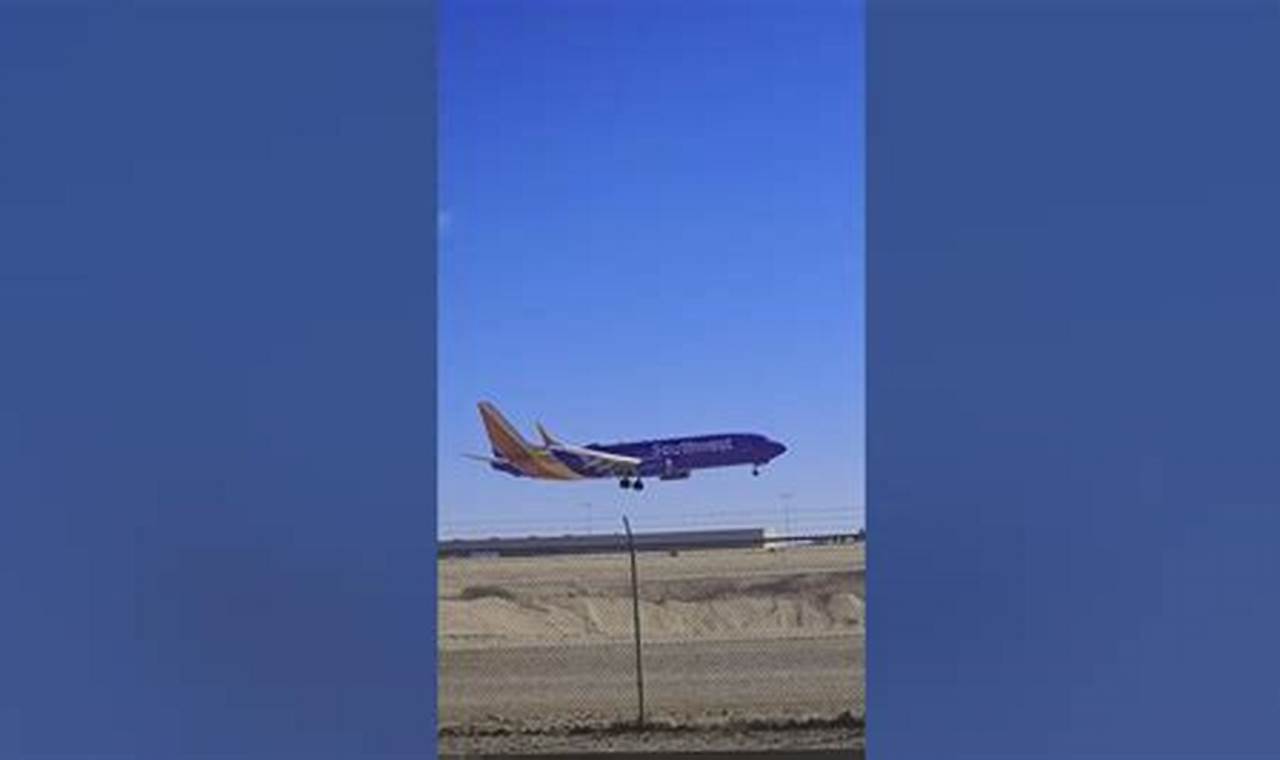 Southwest 2275 Flight: Pet Travel Guide | My Caring Dog – Tips, Stories, and Care Guides for Loving Pet Owners