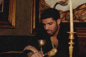 Drake's Dog Care Guide: Tips & Tricks | My Caring Dog – Tips, Stories, and Care Guides for Loving Pet Owners