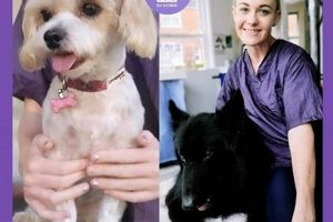 Tia Pet Care - Dog Grooming | My Caring Dog – Tips, Stories, and Care Guides for Loving Pet Owners