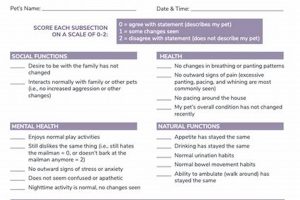 End Of Life Dog Care | My Caring Dog – Tips, Stories, and Care Guides for Loving Pet Owners