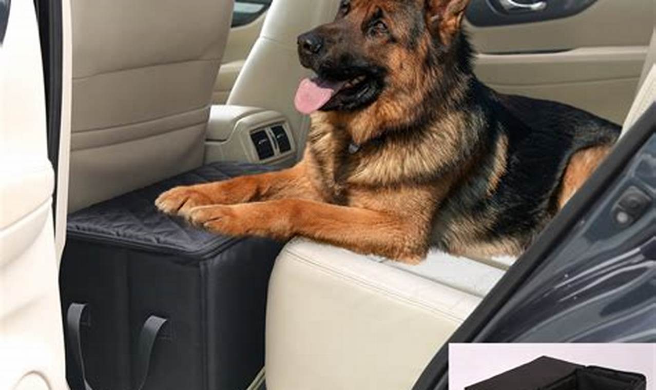 Dog Back Seat Safety: Tips & Rules | My Caring Dog – Tips, Stories, and Care Guides for Loving Pet Owners