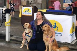 Best Canine Companions for Independence in Orlando, FL | My Caring Dog – Tips, Stories, and Care Guides for Loving Pet Owners