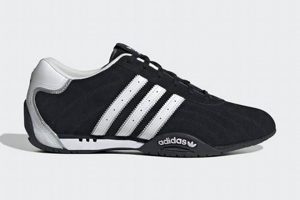 What is ADI? Car Dog Ramp Guide | My Caring Dog – Tips, Stories, and Care Guides for Loving Pet Owners