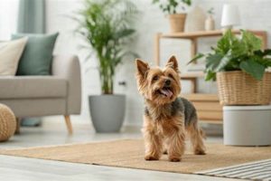 Female Dog Care: Easier or Harder Than Males? | My Caring Dog – Tips, Stories, and Care Guides for Loving Pet Owners