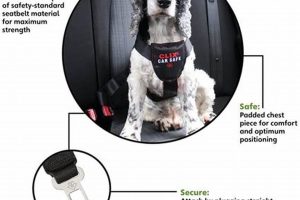 Find Your Fit: CliX Car Safe Dog Harness Size Chart | My Caring Dog – Tips, Stories, and Care Guides for Loving Pet Owners