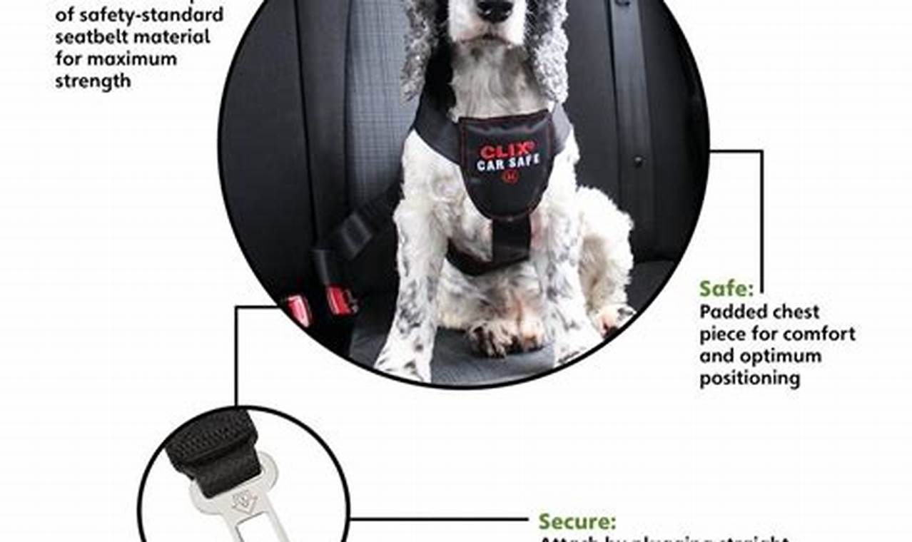 Find Your Fit: CliX Car Safe Dog Harness Size Chart | My Caring Dog – Tips, Stories, and Care Guides for Loving Pet Owners