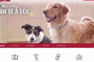 Best Dog Care Website: Tips & Resources | My Caring Dog – Tips, Stories, and Care Guides for Loving Pet Owners